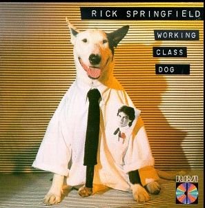 Rick Springfield — The 80s Girls